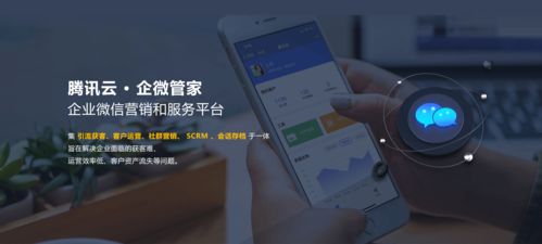 西安易網 互聯網品牌營銷創意機構